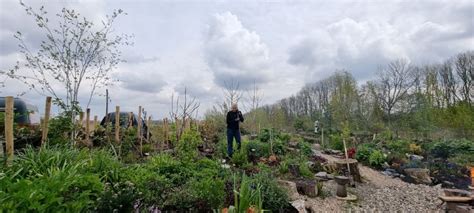 inge slothouber|De tuin is mijn canvas en de planten zijn mijn verf